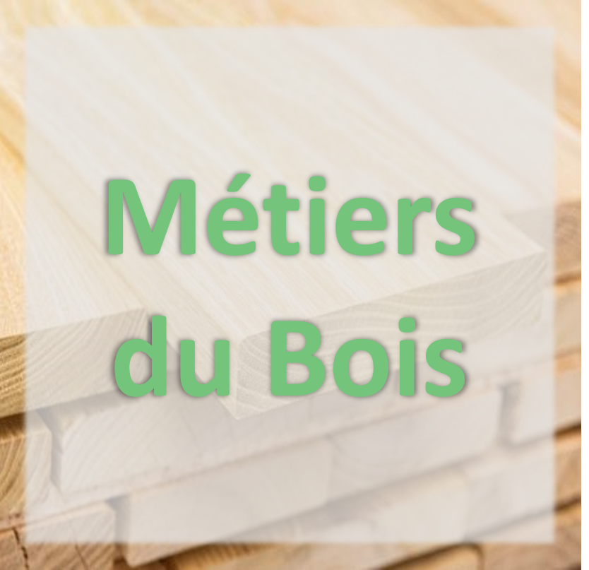 🌳 Métiers du Bois 🌲